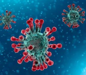 coronavirus