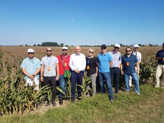 gruppo Sorgo